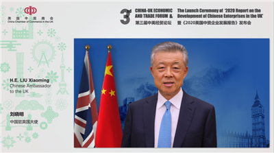 驻英国大使刘晓明在线参加第三届中英经贸论坛